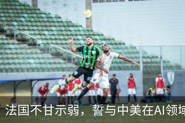 法国不甘示弱，誓与中美在AI领域平起平坐